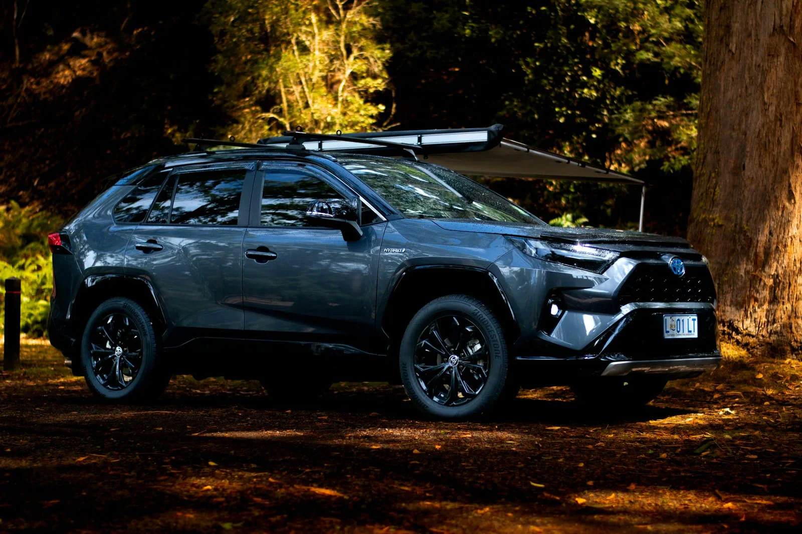 Grauer Toyota RAV4 mit Dachträger im Wald